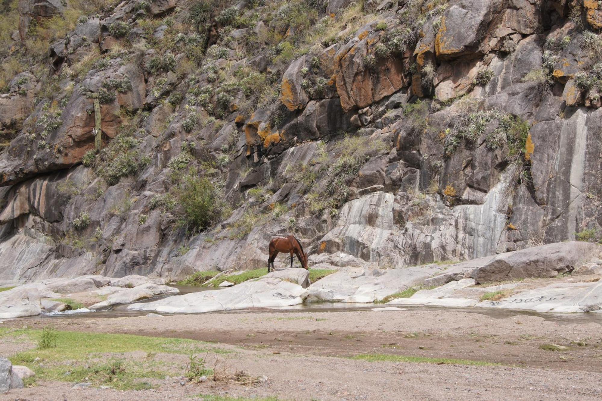 Altos Del Valle San Agustín de Valle Fértil Eksteriør billede