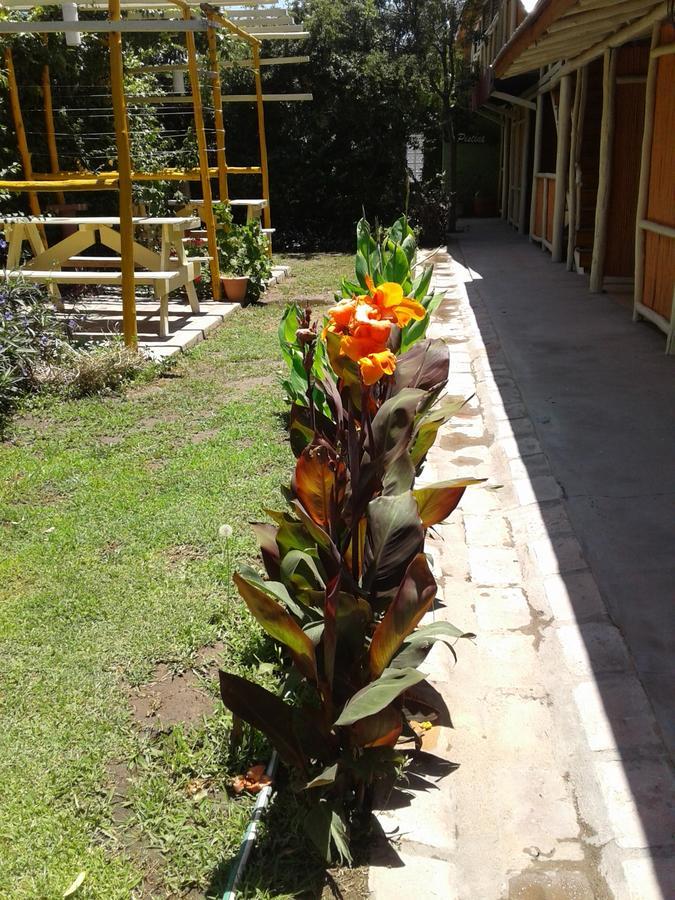 Altos Del Valle San Agustín de Valle Fértil Eksteriør billede